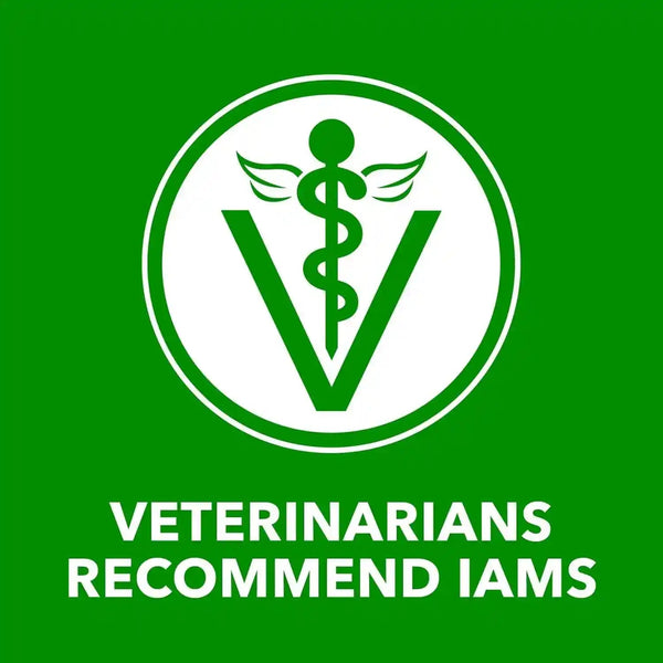 IAMS Proactive Health Pack Wet Dog Food, Beef & Chicken, 13 Oz, 12 Pack | Chunks in Gravy, Omega 6 Fatty Acids, Supports Healthy Skin, Muscles & Digestion, 13 Oz. Cans, No Artificial Flavors9