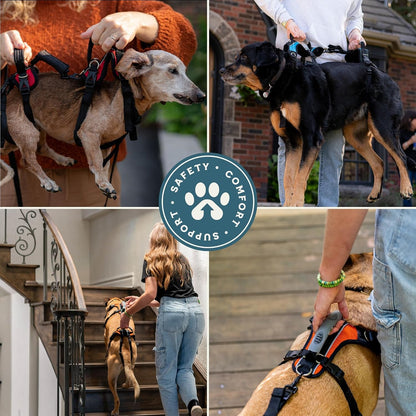 Help 'Em Up® - Dog Lift Harness│ Adjustable Lifting Harness for Dogs │ Full Body Support, Rear Leg Support (Conventional, Medium, 45-80 Lbs)6