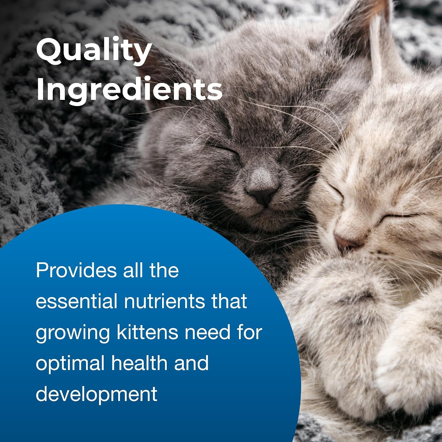 pet-ag-kmr-kitten-milk-replacer-powder-12-oz-powdered-kitten-formula-with-prebiotics-probiotics-vitamins-for-kittens-newborn-to-six-weeks-old-easy-to-digest