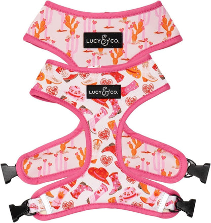 Lucy & Co. Reversible Dog Harness - Water-Repellent Neoprene, Dual-Print Design, Easy Swap Style, Adjustable Comfort Fit - Take a Bow Reversible Harness - Small34