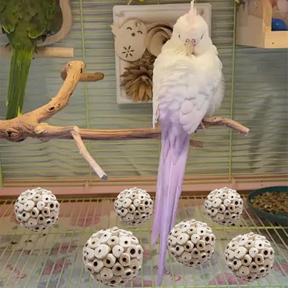 LWINGFLYER 6 Pieces Sola Atta Ball Parrot Biting Toy Bird Chew Accessories Natural Sola Plant Material for Birds, Rabbits, Hamsters and Small Pets.5
