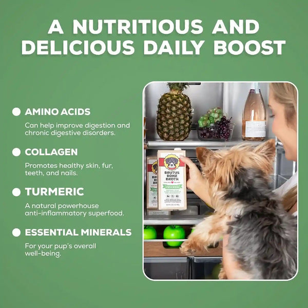 Brutus Chicken Broth Liquid for Dogs - All Natural Chicken Bone Broth for Dogs with Chondroitin Glucosamine Turmeric -Human Grade Dog Food Toppers for Picky Eaters & Dry Food -Tasty & Nutritious5