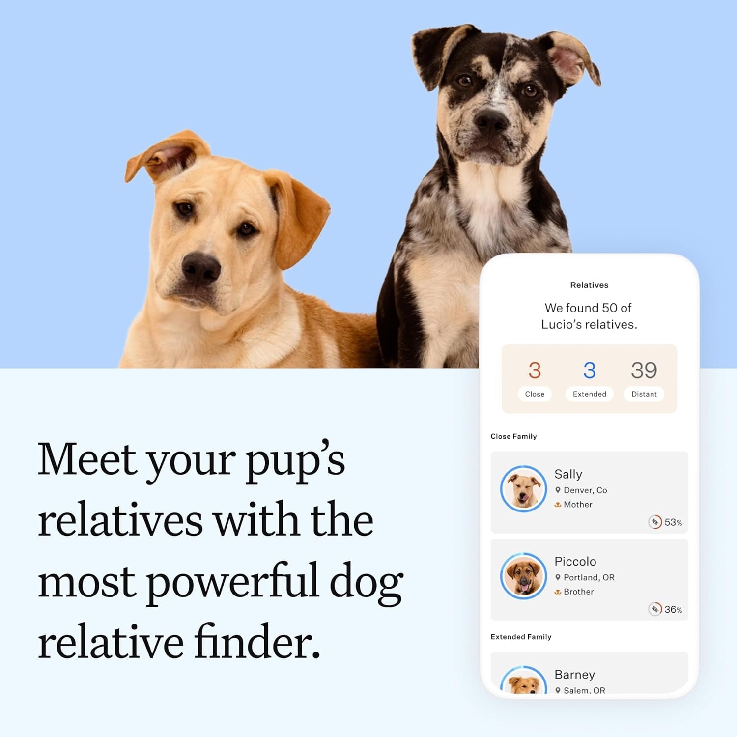 wisdom-panel-essential-dog-dna-testing-kit-most-accurate-test-for-430-dog-breeds-30-genetic-health-conditions-50-traits-relatives-ancestry-1-pack