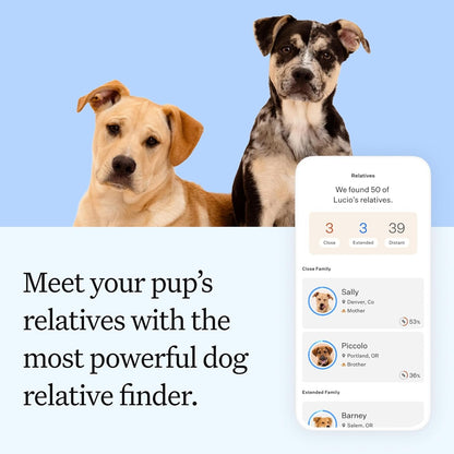 Wisdom Panel Essential Dog DNA Testing Kit - Most Accurate Test for 430+ Dog Breeds, 30 Genetic Health Conditions, 50+ Traits, Relatives, Ancestry, 1 Pack7