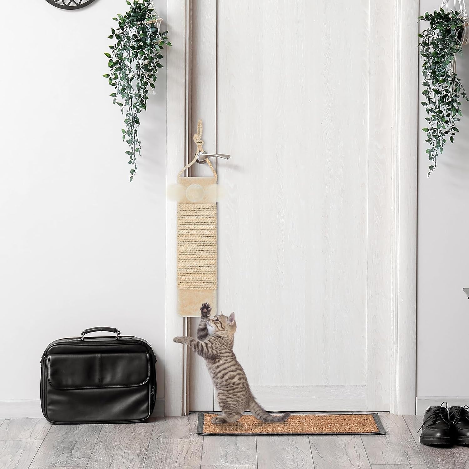 dansydaisy-2-pcs-cat-scratcher-door-hanging-19-3-x-5-5inch-cat-scratching-post-wall-mounted-natural-sisal-scratching-pad-surface-with-ball-toy-for-indoor-cats-kitty