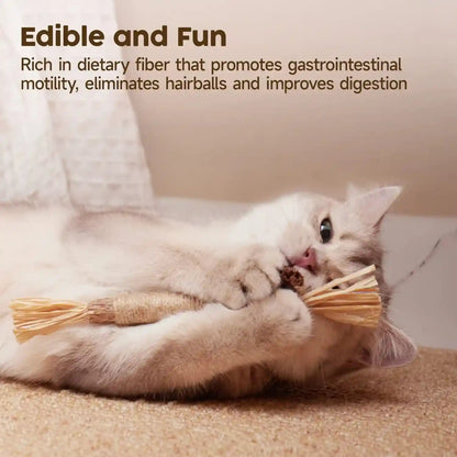 Potaroma 3 Pack Natural Silvervine Sticks Cat Toys, Catmint Silvervine Blend Sticks, Catnip Kittens Chew Toys Teeth Cleaning, Matatabi Dental Care Cat Treat Edible Kitty Lick Toys, Package May Vary | Kittens Chew Toys for Teeth Cleaning, Matatabi Dental Care Cat Treat, Edible Kitty Lick Toys3