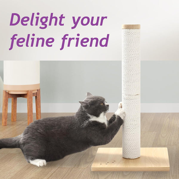 Necoichi 23.6” Tall Cat Scratching Post Kitten Scratcher Paper Rope Scratch Posts Trees with Hanging for Indoor Cats (23.6 Inches for Kitty, Regular, Oak)4