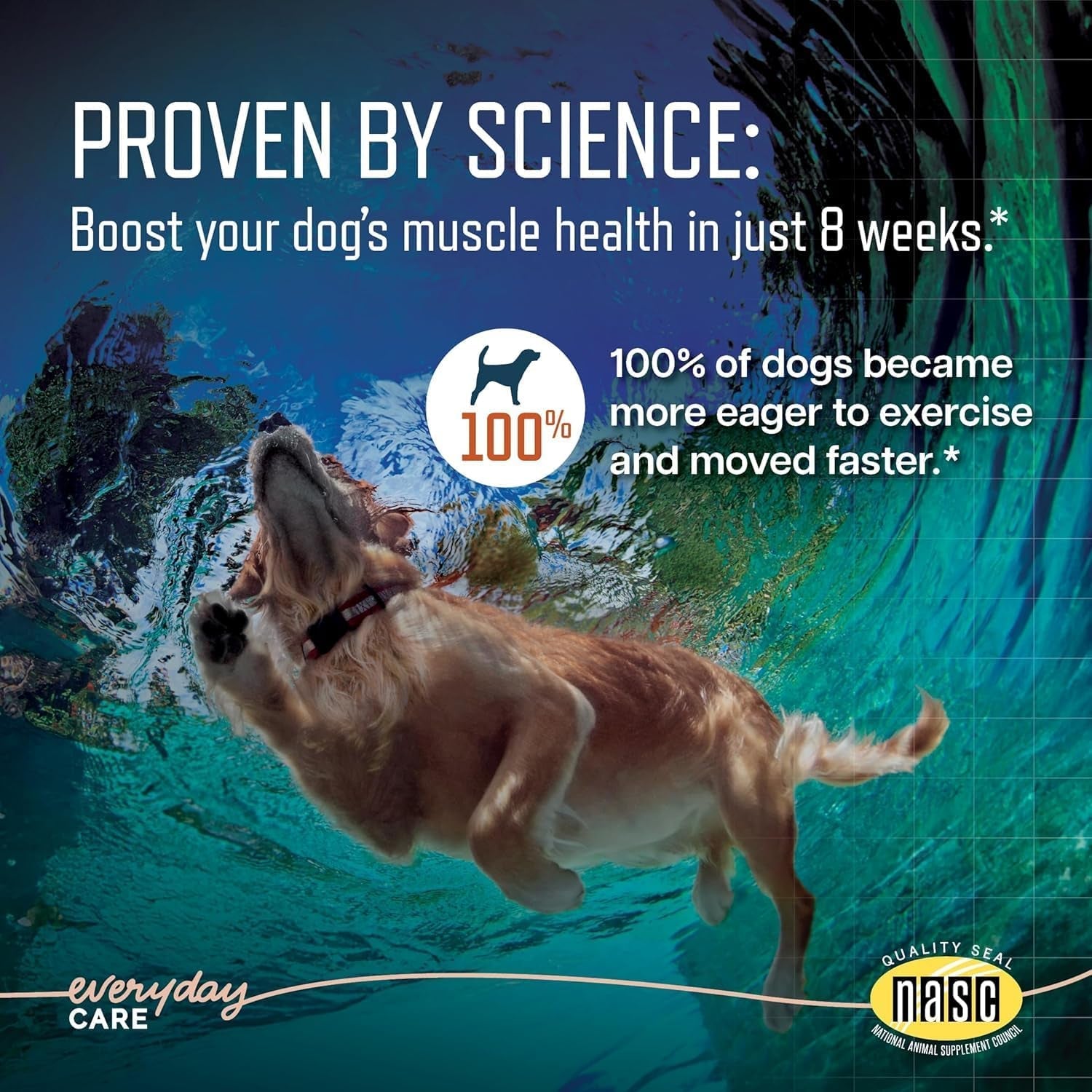ursolyx-soft-chews-for-dogs-medium-breed-muscle-support-60-count-ursolic-acid-supplement-to-rebuild-muscle-strength-mobility-in-senior-active-or-recovering-dogs-2-month-supply
