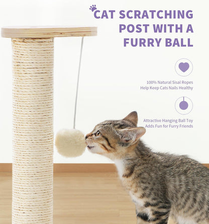 Made4Pets Kitten Toy Scratching Post for Indoor Cats with Ball Track | Interactive Cat Scratching Post with Natural Sisal Rope, Rolling Ball Track and Durable Plywood Base, Modern Home Décor4
