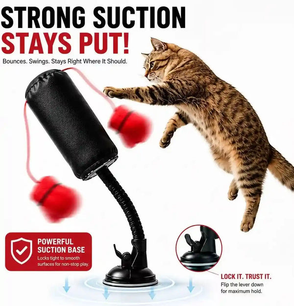 MOYEE Cat Punching Bag Toy, Interactive Punch Cat Toy with Dangling Boxing Gloves, Sturdy ABS Suction Cup Base Wobble Cat Boxing Toy for Indoor Cats Exercise & Mental Stimulation2