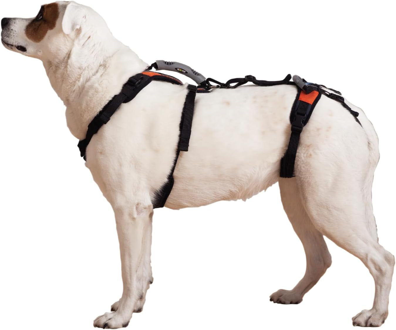 help-em-up®-dog-lift-harness-adjustable-lifting-harness-for-dogs-full-body-support-rear-leg-support-conventional-medium-45-80-lbs