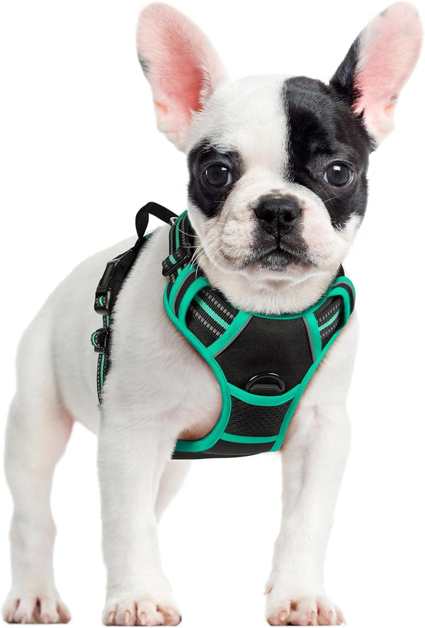 Rabbitgoo Dog Harness, No Pull for Large Dogs with 2 Leash Clips, Pet Vest | No Choke with Handle, Adjustable Soft Padded, Reflective, Easy Control for Walking, Black, Large51
