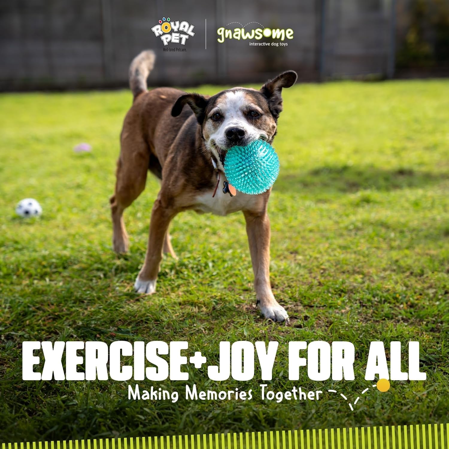 gnawsome™-4-5-spiky-squeaker-ball-dog-toy-extra-large-cleans-teeth-and-promotes-good-dental-and-gum-health-for-your-pet-colors-will-vary-4-5