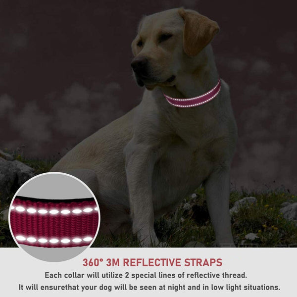 Reflective Dog Collar with Buckle Adjustable Safety Nylon Collars for Small Medium Large Dogs, Pink M | Breathable Nylon Collars for Small Medium Large Dogs, No Chafing on Walks and Outdoor Hikes, Metal D-Ring, Night Safety4