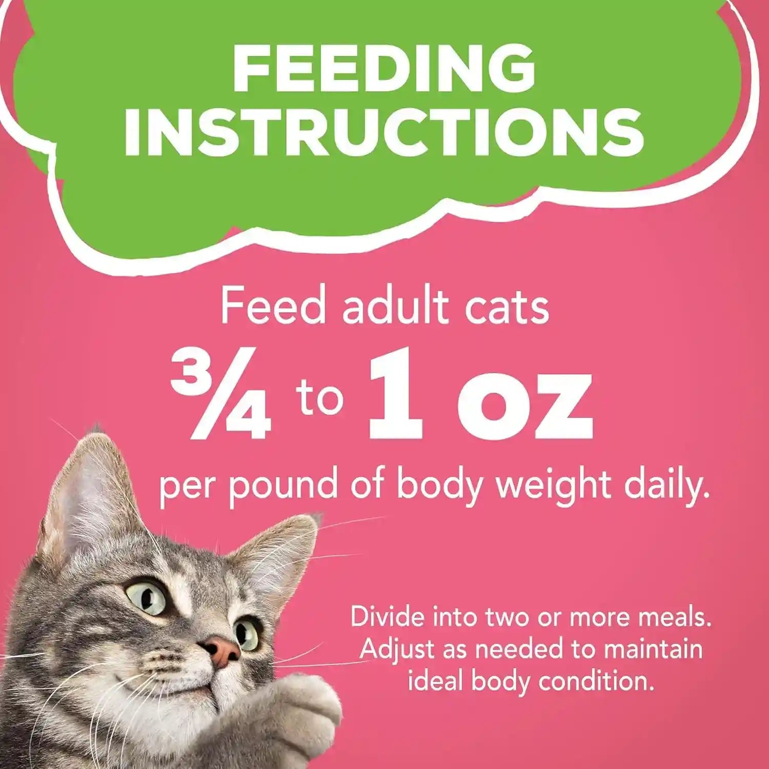 purina-friskies-wet-cat-food-pate-pate-salmon-dinner-pack-of-24-5-5-oz-cans
