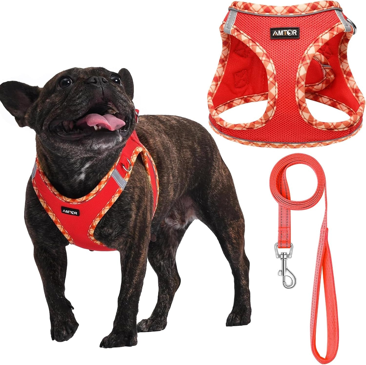 amtor-small-dog-harness-with-leash-set-no-escape-easy-walk-puppy-harnesses-for-training-walking-step-in-reflective-soft-dogs-vest-for-xs-s-medium-extra-small-large-sized-doggreen-s