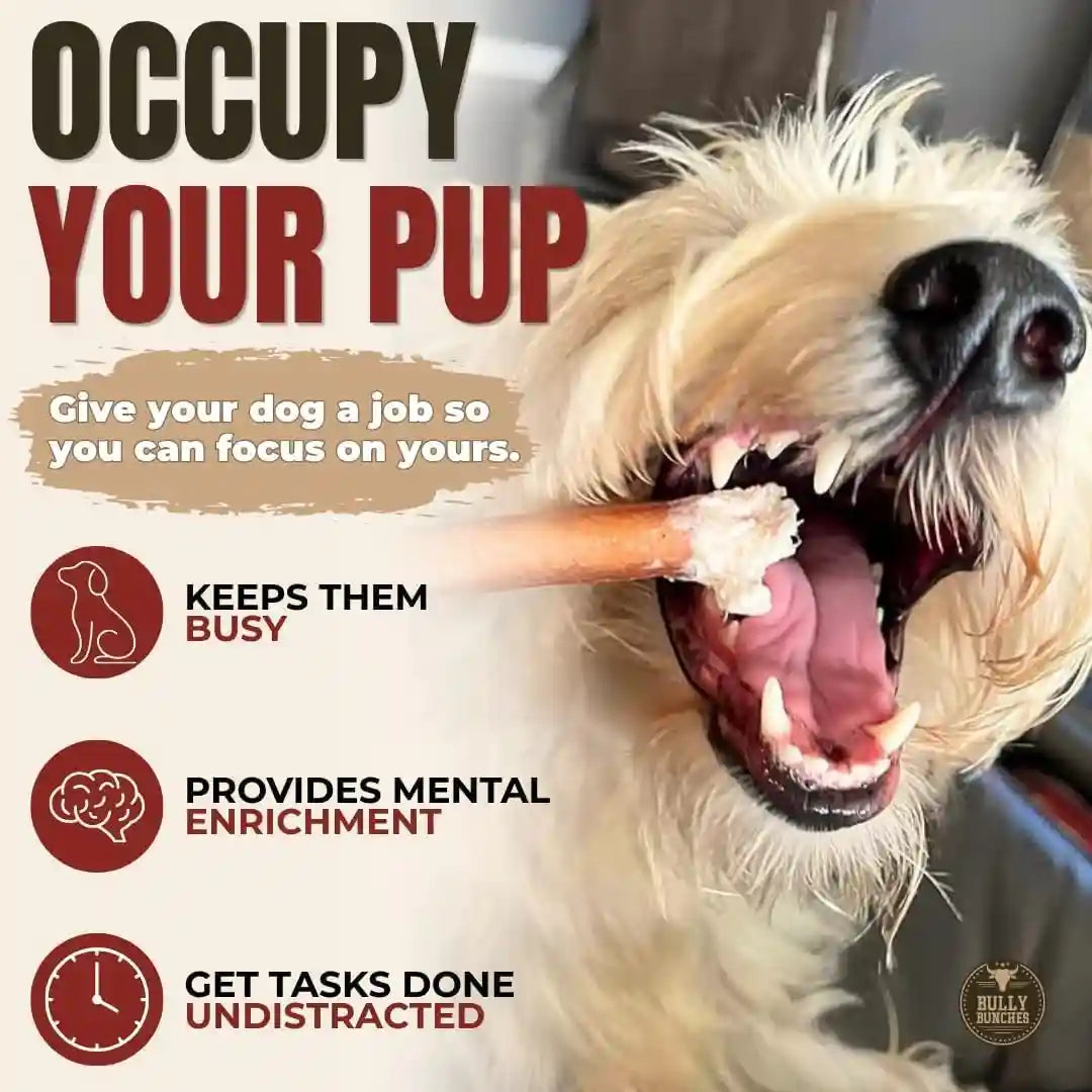 bully-bunches-premium-6-standard-5-pack-odor-free-bully-sticks-for-small-to-medium-dogs-puppies-consistently-sized-long-lasting-chews-for-oral-care-all-natural-100-beef-dog-treats