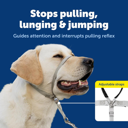 Petsafe Gentle Leader No Pull Dog Headcollar, Royal Blue, Medium | Veterinary Behaviorist-Designed No-Pull Headcollar Redirects Pulling Instinct, Padded Neoprene Nose Loop, Quick-Snap Fit3