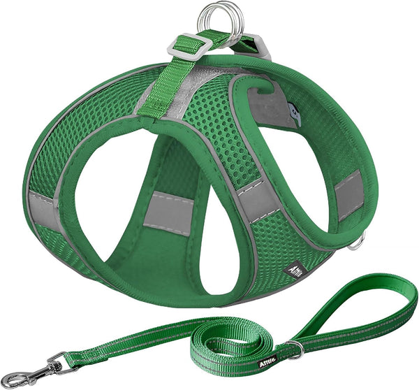 AIITLE No Pull Dog Harness and Leash Set, Step in Adjustable Dog Harness with Padded Vest for All Weather, Dog Leash with Soft Padded Handle, Easy to Put on Small and Medium Dogs Beige S13