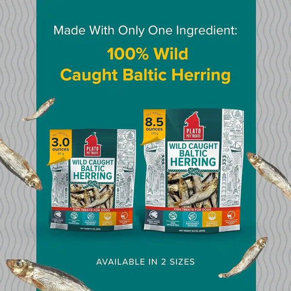 Plato Pet Treats Fish Dog Treats - Air-Dried, Single Ingredient Pet Treat - Omega 3 & 6 Fatty Acids to Support Skin and Coat - 100% Whole Fish - Wild Caught Baltic Herring - 3Oz - 2 Pack4