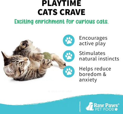 Raw Paws Catnip Balls for Cats (6-Count) - Interactive Indoor Cat Toy | Natural Compressed Natural Catnip - Cat Lick Balls - Catnip Roller Balls - Play & Enrichment Toy - Fresh Dried - No Additives2