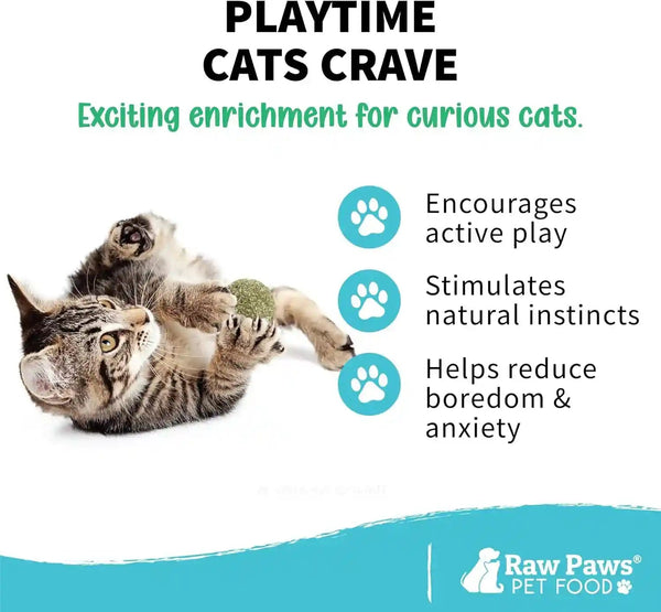 Raw Paws Catnip Balls for Cats (6-Count) - Interactive Indoor Cat Toy | Natural Compressed Natural Catnip - Cat Lick Balls - Catnip Roller Balls - Play & Enrichment Toy - Fresh Dried - No Additives2