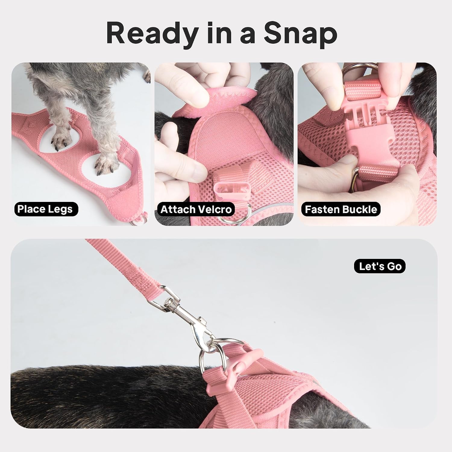 small-dog-harness-and-leash-set-breathable-step-in-puppy-cat-harness-xs-reflective-for-safe-easy-walking-soft-light-puppy-vest-escape-proof-no-pull-harness-for-dogs-all-weather-air-mesh-harness