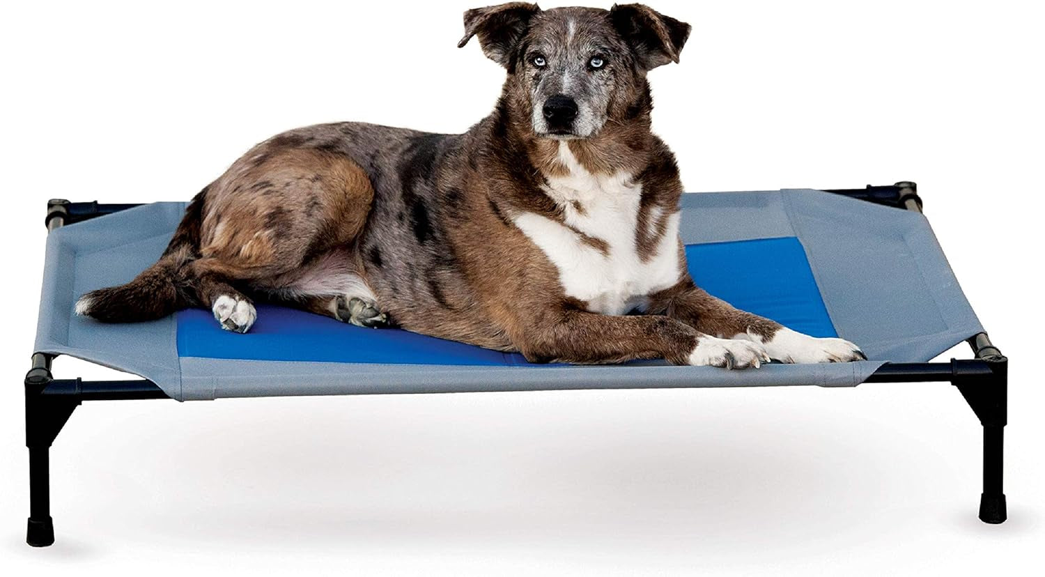 k-h-pet-products-coolin-pet-cot-outdoor-cooling-elevated-dog-cot-for-large-dogs-raised-bed-with-cool-core-center-portable-pet-platform-with-heavy-duty-metal-frame-large-gray-blue