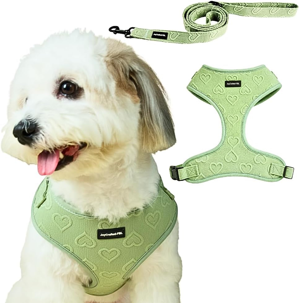 no-pull-harness-leash-set-for-small-sized-dogs-soft-padded-breathable-neoprene-harnesses-lightweight-adjustable-step-in-vest-with-cute-heart-print-secure-back-d-ring-neck-13-17-chest-16-21