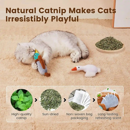 Potaroma Birds Cat Toys, 2 Pack Catnip Toys Soft Durable | Crinkle Sound Kicker Toys for Interactive Indoor Kitten Exercise 6.5 Inches for All Breeds3