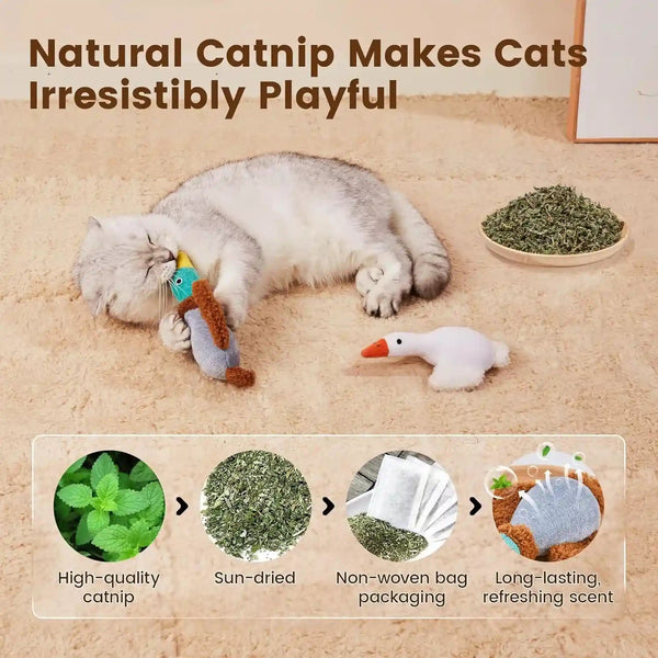 Potaroma Birds Cat Toys, 2 Pack Catnip Toys Soft Durable | Crinkle Sound Kicker Toys for Interactive Indoor Kitten Exercise 6.5 Inches for All Breeds3