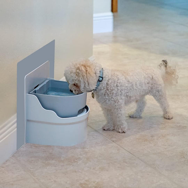 Perpetual Well Automatic Pet Water Bowl (Wall Mount)4