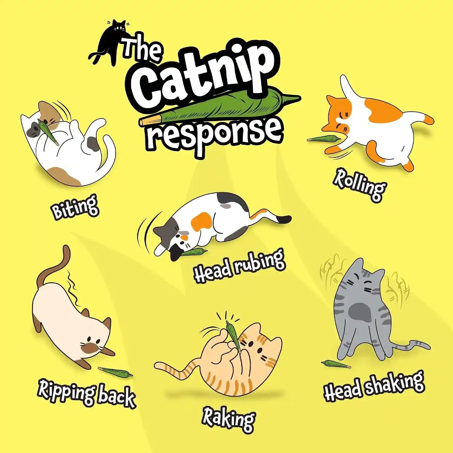 lit-labs-catnip-joint-5-organic-pre-rolls-papers-to-fix-a-bad-cattitude-funny-cat-toy-for-indoor-cats-with-existential-dread