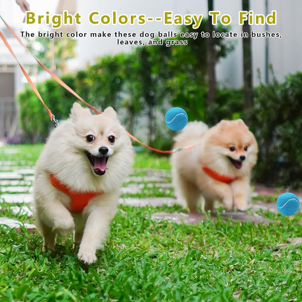 Magicorange 10 Pack Squeaky Mini Tennis Balls, 1.5 Inch Small Dog Ball | Tennis Balls for Small Breed Dogs,Colorful Easy Catching Pet Dog Playing Ball,Bright Fluorescent Multicolor6