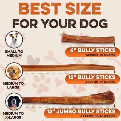BRUTUS & BARNABY Bully Sticks for Small, Medium & Large Dogs, 6 Inch, 12 Ct | Long Lasting Thick Grass Fed Beef Pizzle Chew Treats, Odor Free and Rawhide Free, Great for Aggressive Chewers4