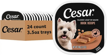 Cesar Classic Loaf in Sauce Wet Dog Food, Filet Mignon, 3.5 Oz, 24 Count | Made in USA, Real Beef #1 Ingredient, No Fillers/Added Sugar/Artificial Flavors, Use as Meal or Topper, Easy Peel Trays21