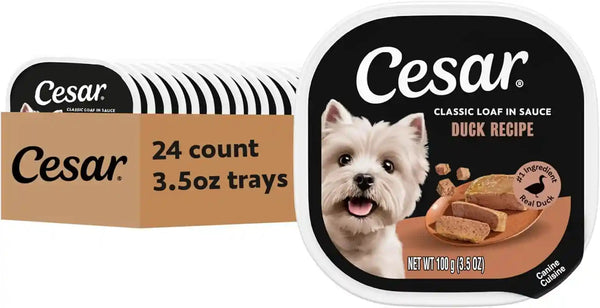 Cesar Classic Loaf in Sauce Wet Dog Food, Filet Mignon, 3.5 Oz, 24 Count | Made in USA, Real Beef #1 Ingredient, No Fillers/Added Sugar/Artificial Flavors, Use as Meal or Topper, Easy Peel Trays21