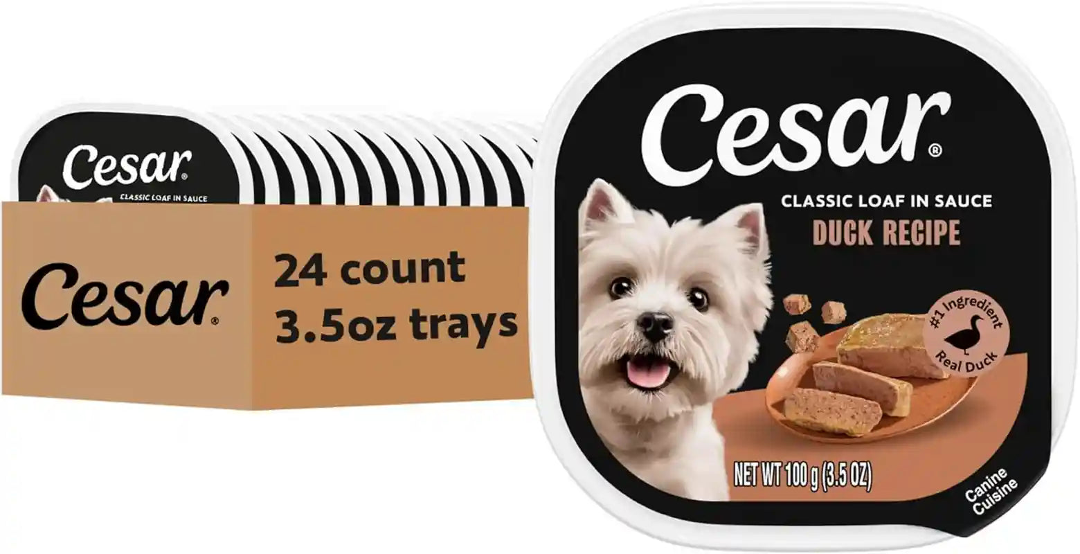 cesar-classic-loaf-in-sauce-wet-dog-food-filet-mignon-3-5-oz-24-count-made-in-usa-real-beef-1-ingredient-no-fillers-added-sugar-artificial-flavors-use-as-meal-or-topper-easy-peel-trays