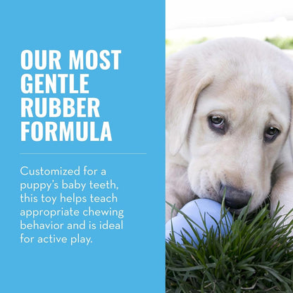 KONG Puppy - Natural Teething Rubber Chew Toy for Dogs - Stuffable Dog Toy for Extended Playtime - Chew & Fetch Toy for Puppies - for Small Puppies - Blue3