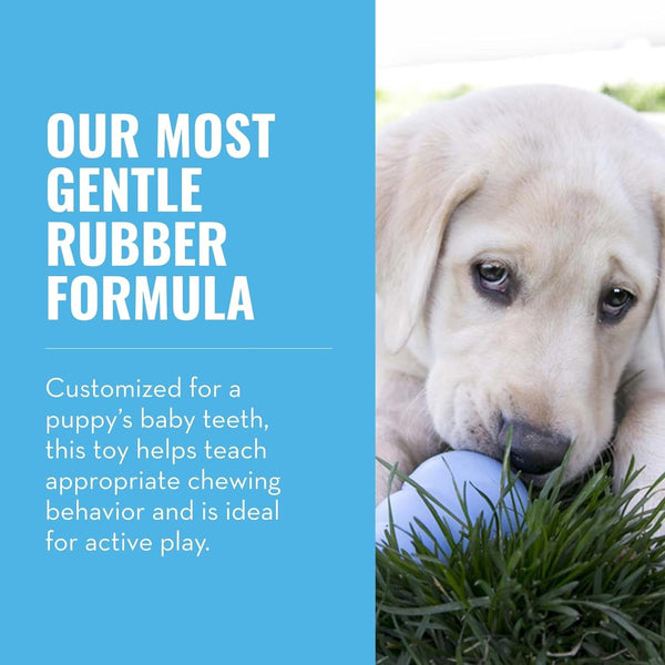 KONG Puppy - Natural Teething Rubber Chew Toy for Dogs - Stuffable Dog Toy for Extended Playtime - Chew & Fetch Toy for Puppies - for Small Puppies - Blue3