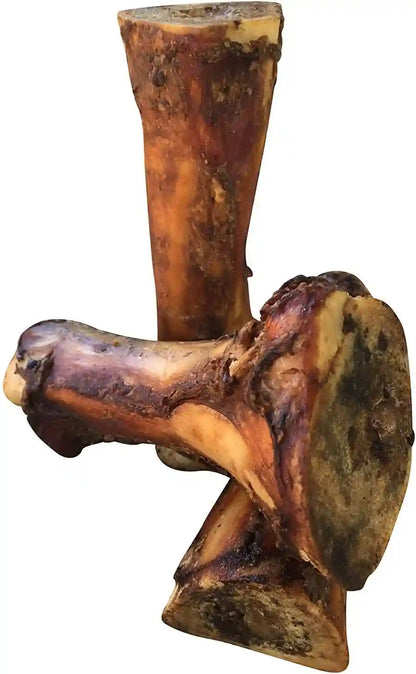 K9 Connoisseur Beef Marrow Large Dog Bones Long Lasting for Aggressive Chew | USA Made Single Ingredient Champ Bones for Large Dogs over 50 Pounds - 3 Pack1