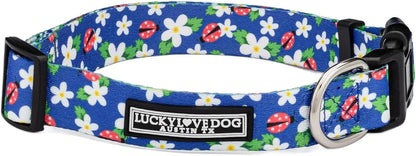 Lucky Love Dog - Easy Click Buckle Dog Collar with Leash Set Combo, Durable & Comfortable for Male & Female Dogs, Pet Collar for Medium Dogs, Secure Fit - Blackbird Combo, Medium41