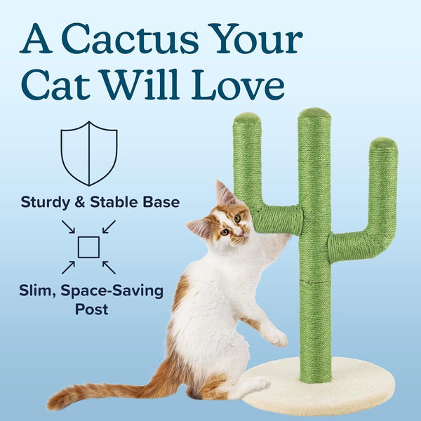 24” Tall Cat Scratching Post - Vertical Cactus Scratch Post for Indoor Cats - 360 Degree Jute Rope-Covered Kitten Scratcher with 3 Branches and Sturdy Base by PETMAKER (Green)4