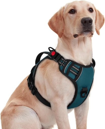 Rabbitgoo Large Dog Harness, Easy Wear with 3 Buckles and Lift Handle | No Pull with Front Clip for Walking, Adjustable Soft Padded, Reflective, Easy Control, Pink, Large19