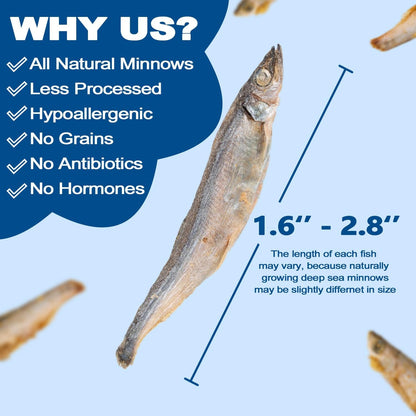 Amzey 7Oz Minnows Dog Treats - Freeze Dried Minnows Cat Treats - High Protein & Premium Quality Training Treats - Bulk Package (1.6" to 2.8" Length Each)5