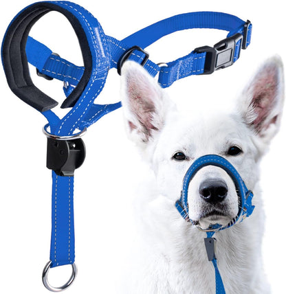 Goodboy Dog Head Halter with Safety Strap - Stops Heavy Pulling on the Leash - Padded Headcollar for Small Medium and Large Dog Sizes - Head Collar Training Guide Included (Size 2, Black)10