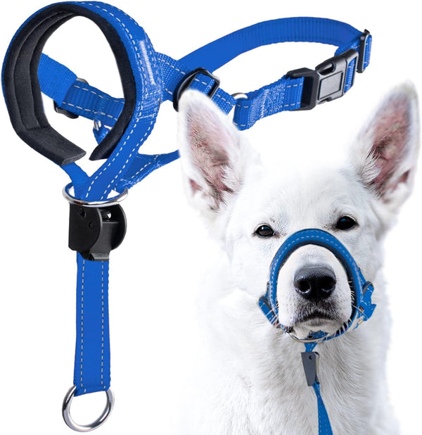 Goodboy Dog Head Halter with Safety Strap - Stops Heavy Pulling on the Leash - Padded Headcollar for Small Medium and Large Dog Sizes - Head Collar Training Guide Included (Size 2, Black)10