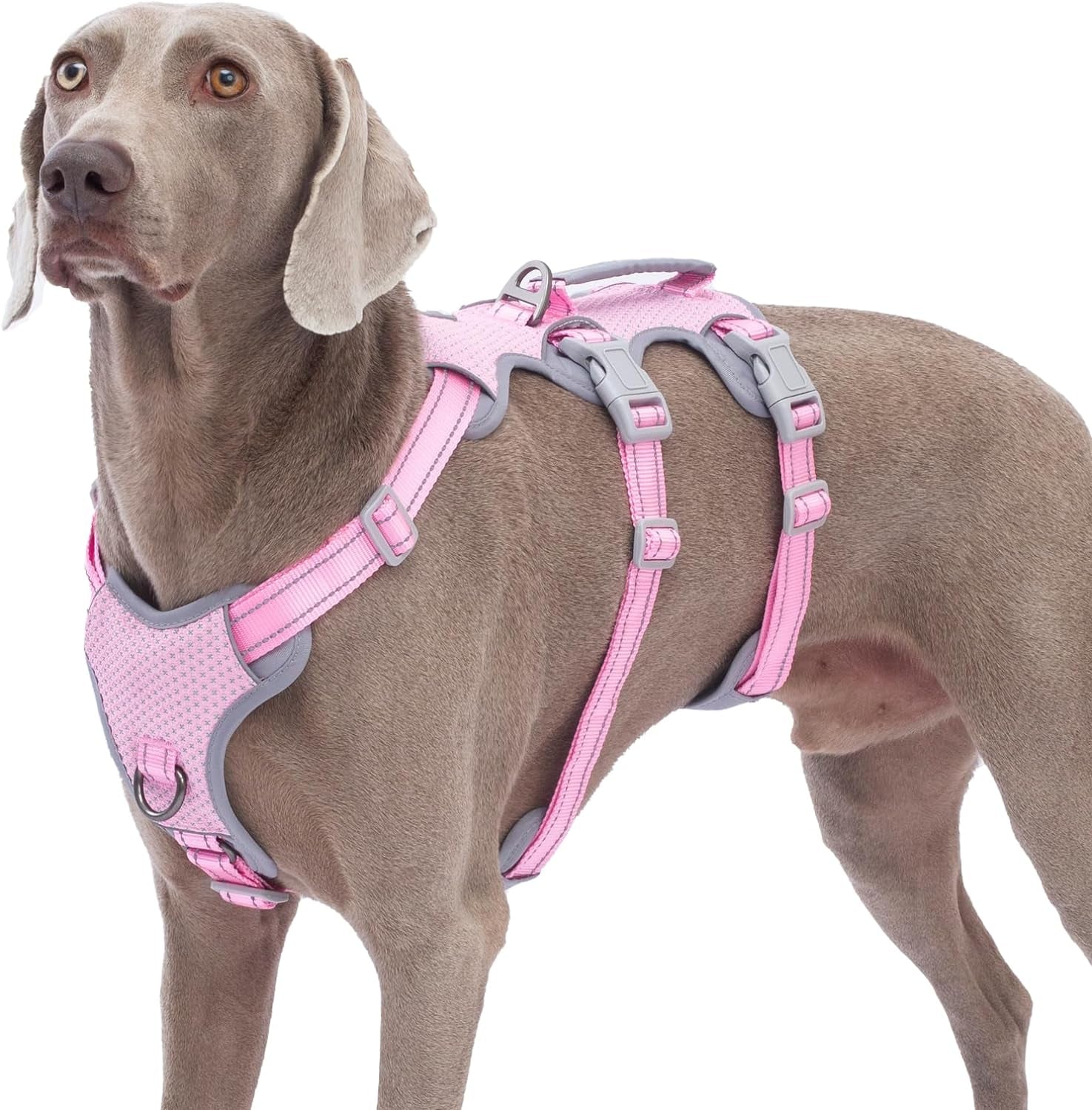 huntboo-escape-proof-harness-no-slip-dog-harness-escape-proof-fully-reflective-harness-with-handle-breathable-durable-adjustable-vest-for-medium-dogs-walking-and-training-gear-black-m