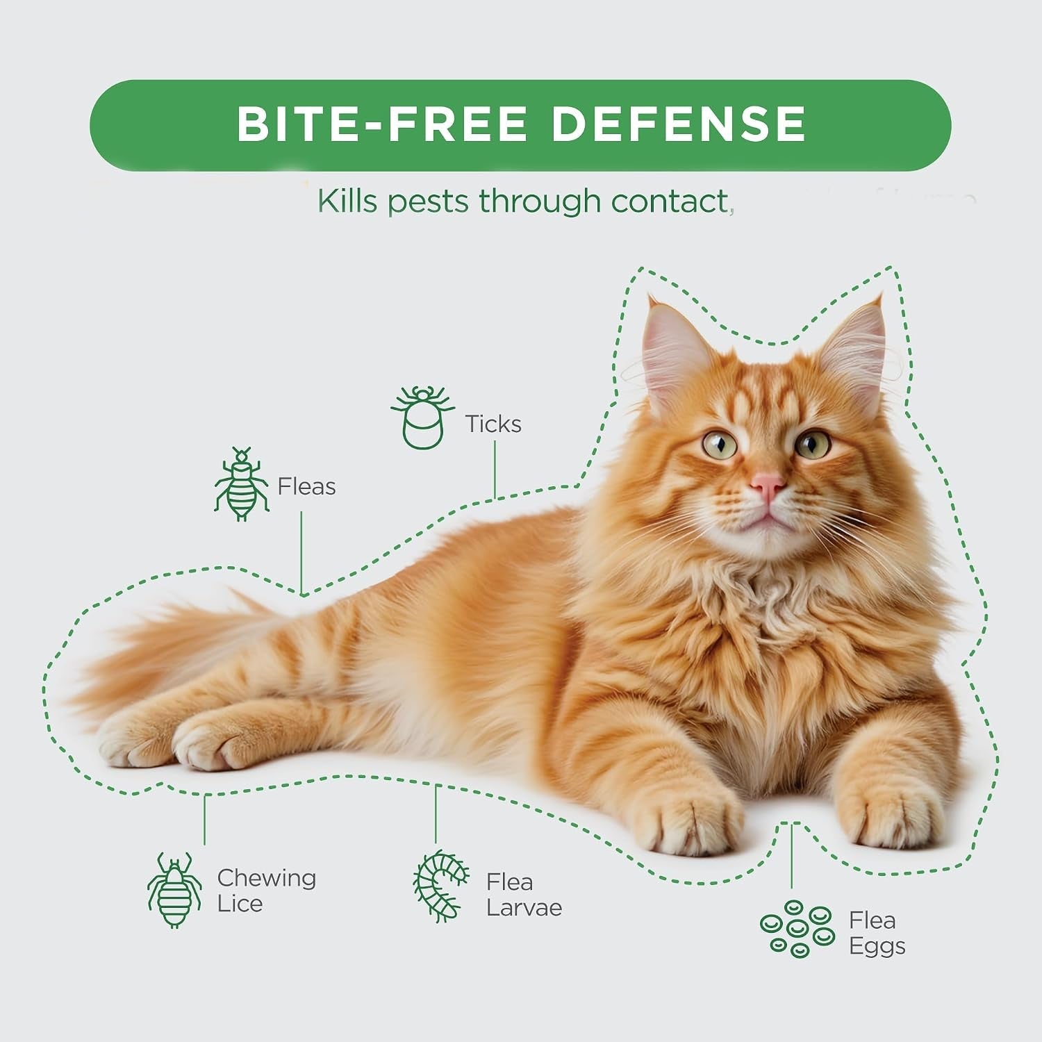 tevrapet-firstact-plus-flea-and-tick-topical-for-cats-over-1-5lbs-3-dose-waterproof-flea-and-tick-control-prevention-for-3-months