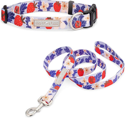 Lucky Love Dog - Easy Click Buckle Dog Collar with Leash Set Combo, Durable & Comfortable for Male & Female Dogs, Pet Collar for Medium Dogs, Secure Fit - Blackbird Combo, Medium40